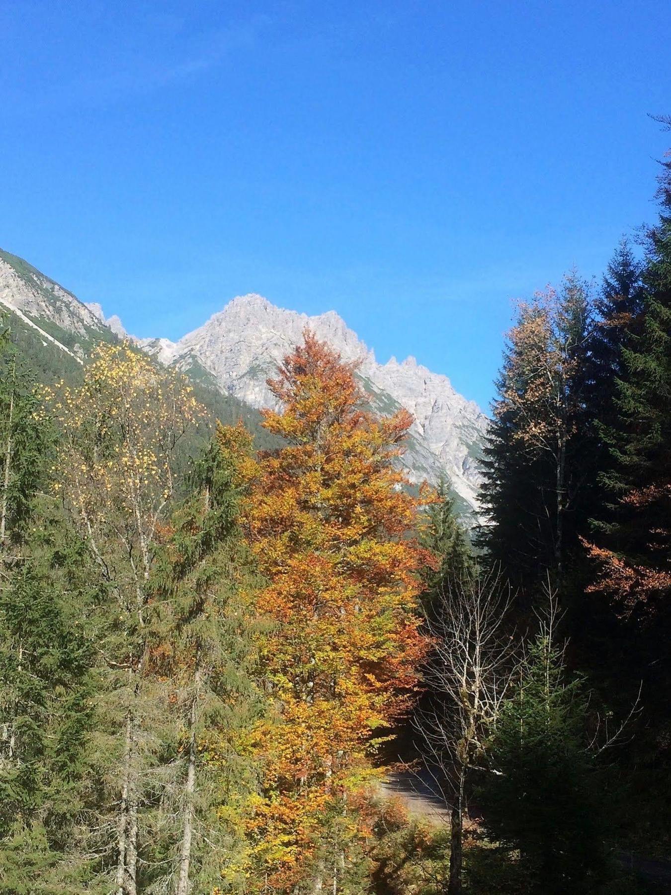 Pension Alpenperle Holzgau Esterno foto